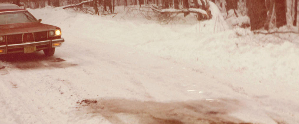 Bloodline Detectives - Die DNA der Täter