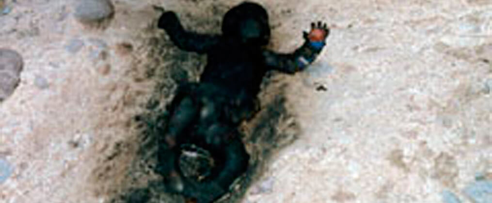 Cold Case Files