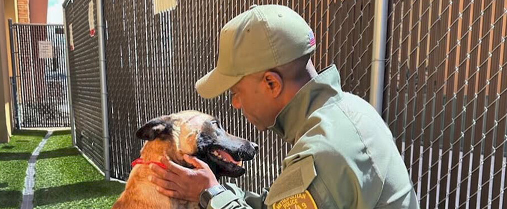 K9 - Die Hundestaffel mit Jim Belushi