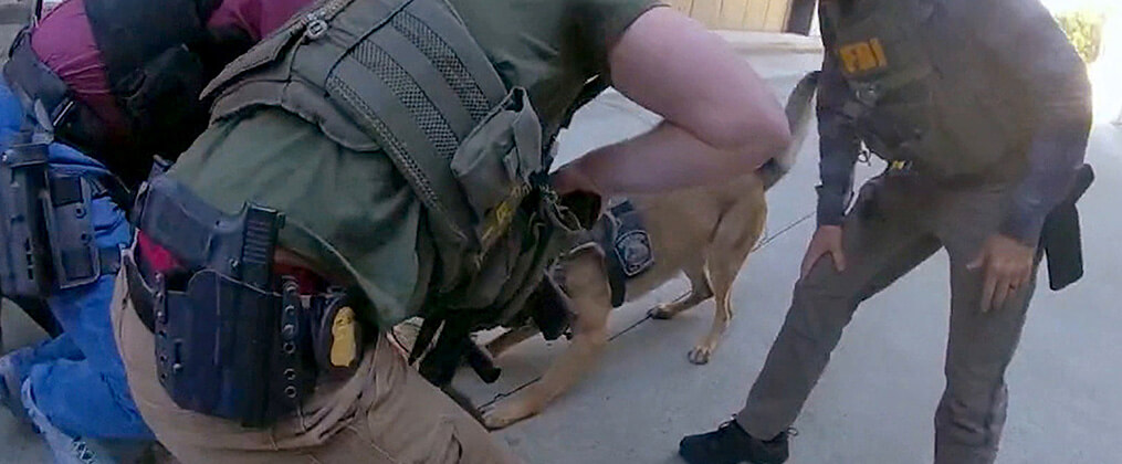 K9 - Die Hundestaffel mit Jim Belushi