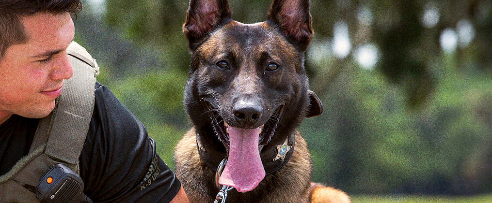 K9 - Die Hundestaffel mit Jim Belushi